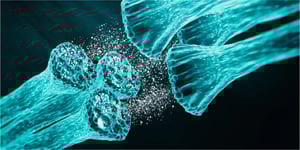 illustration_Neurofilament